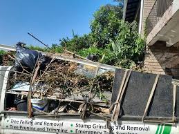 Best Carpet Removal and Disposal  in Du Quoin, IL